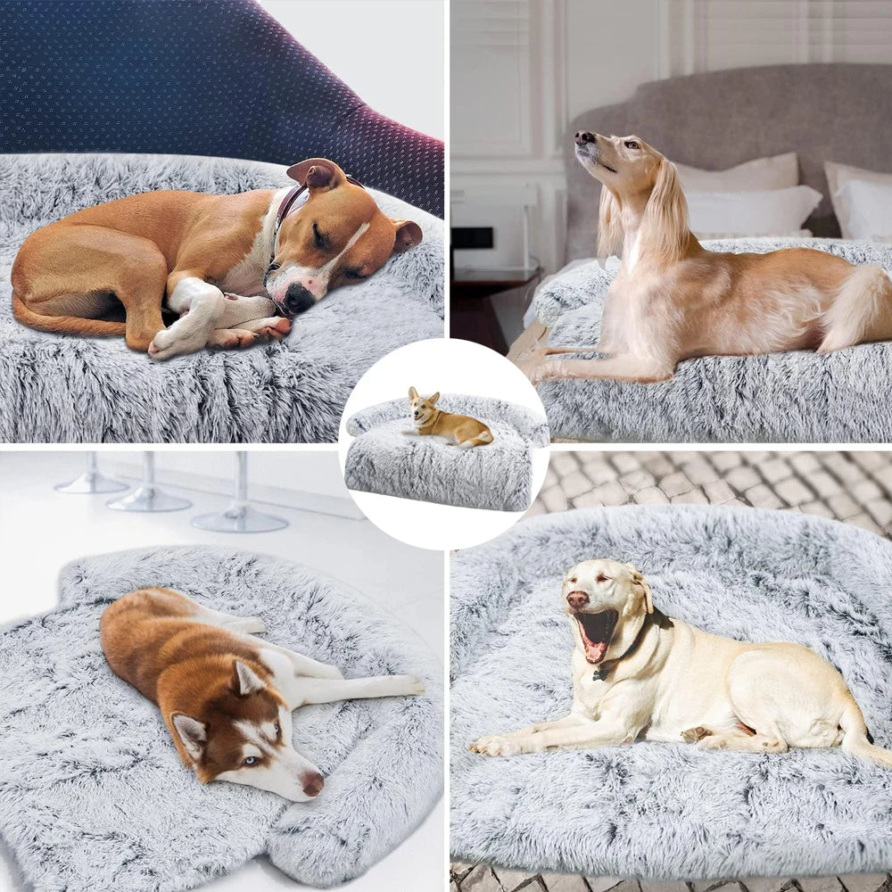 CozyPaws Bolstered Pet Sofa - pureglowsessence.com